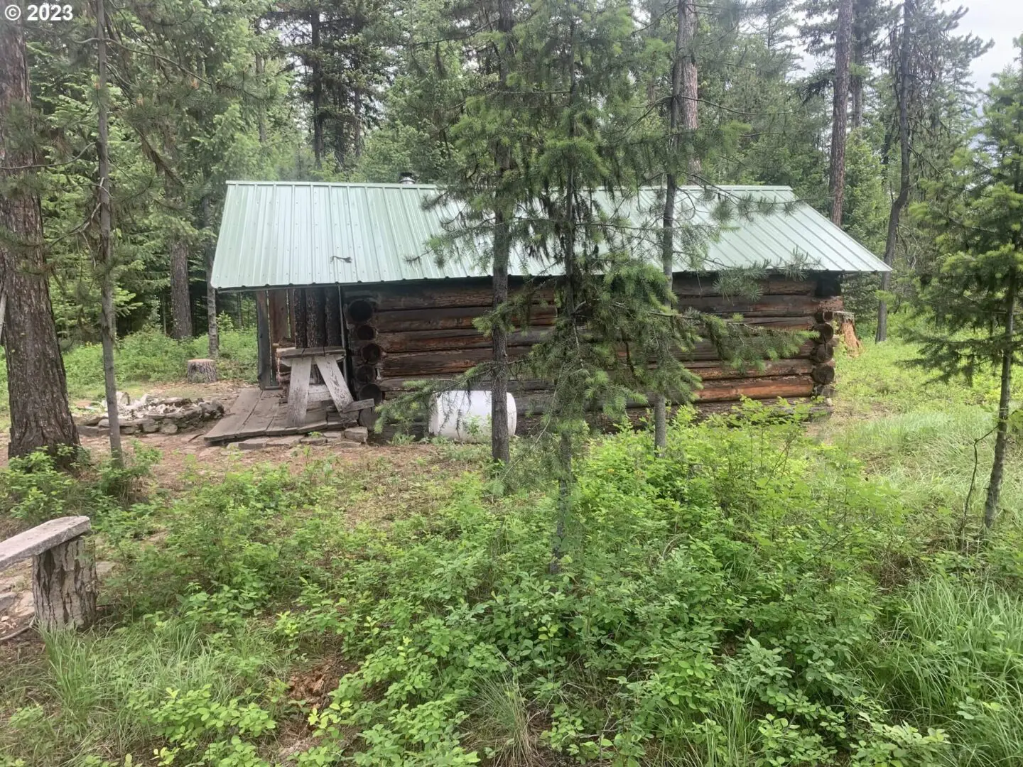 A small log cabin in the middle of a forest.