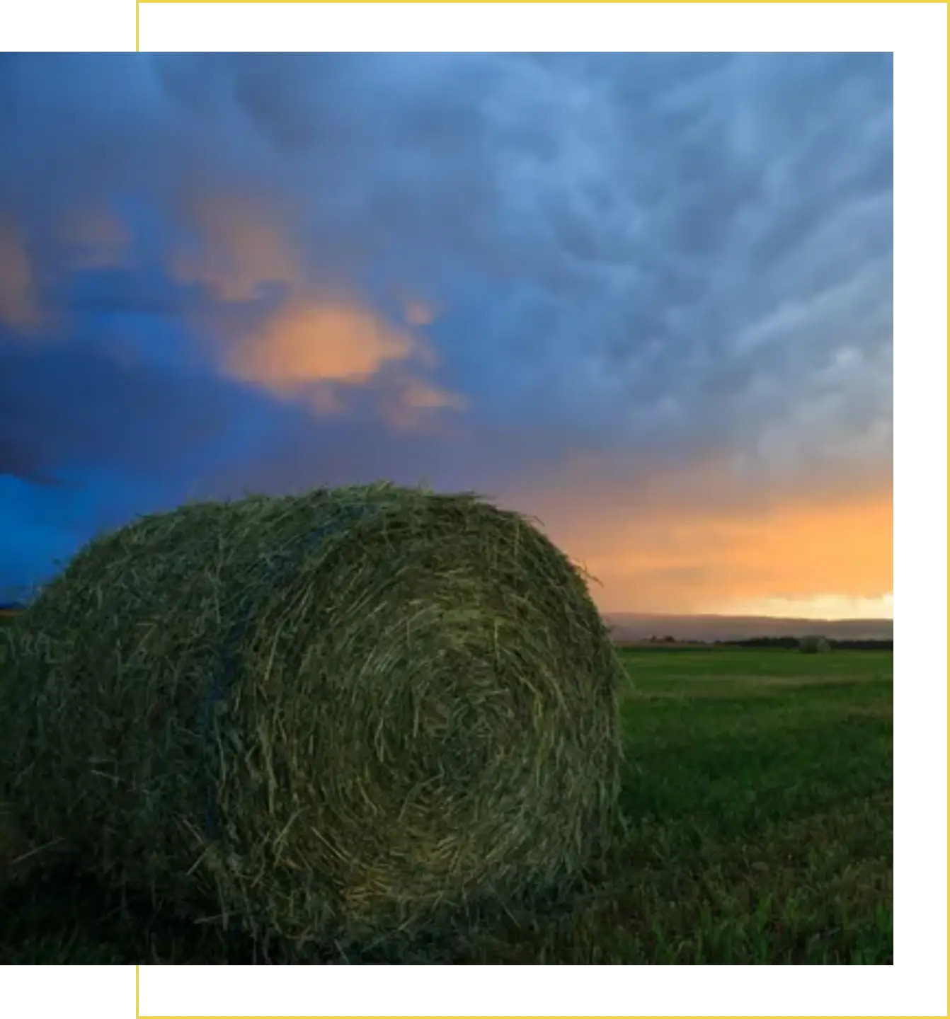 A large green hay bale in the middle of a field.