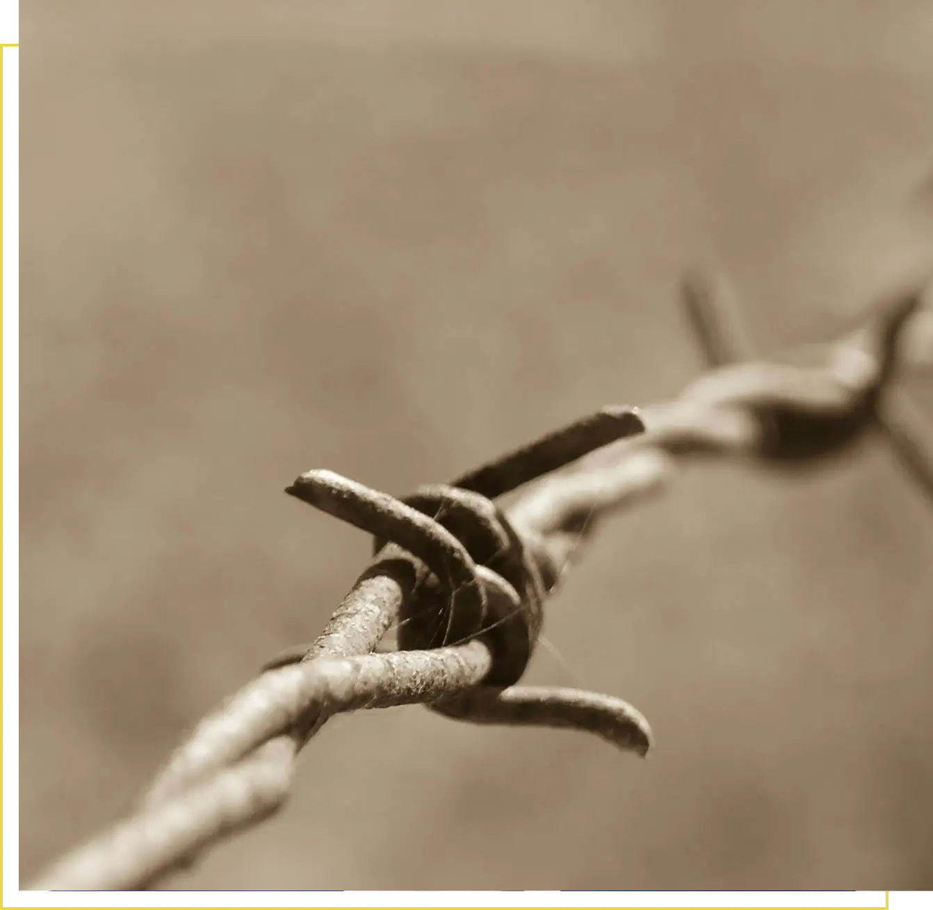 A close up of the barbed wire