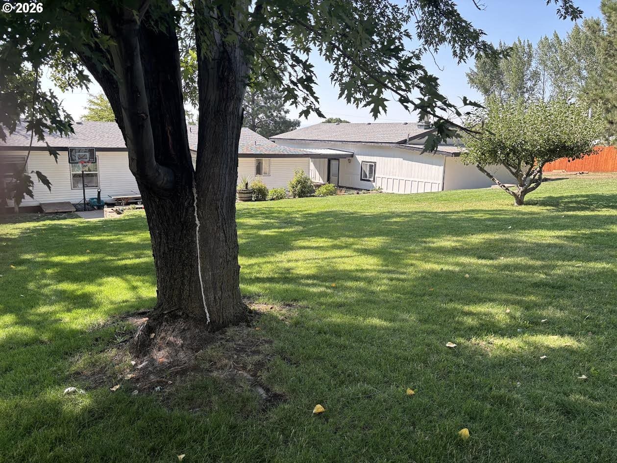Lawn area with trees and house in background.