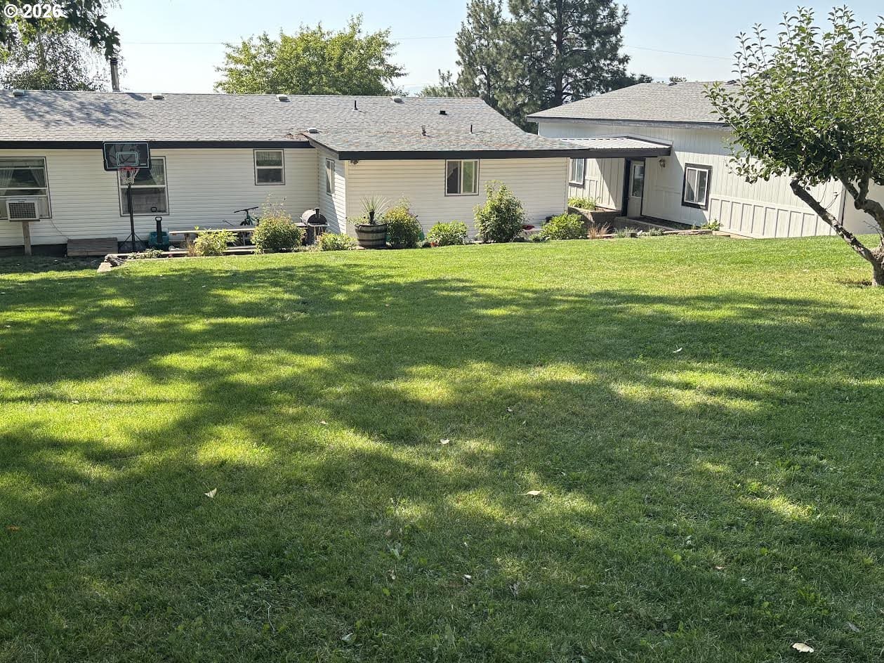 Backyard view with green lawn and trees.