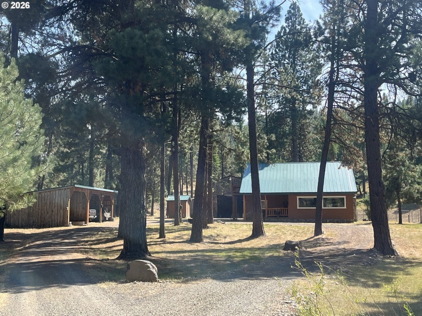 House surrounded by tall pine trees.