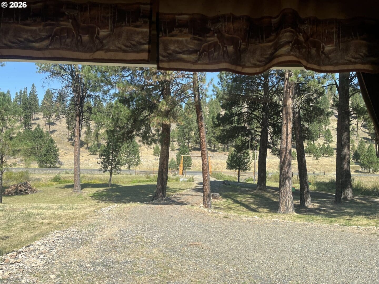 View of trees and grassy area outside.