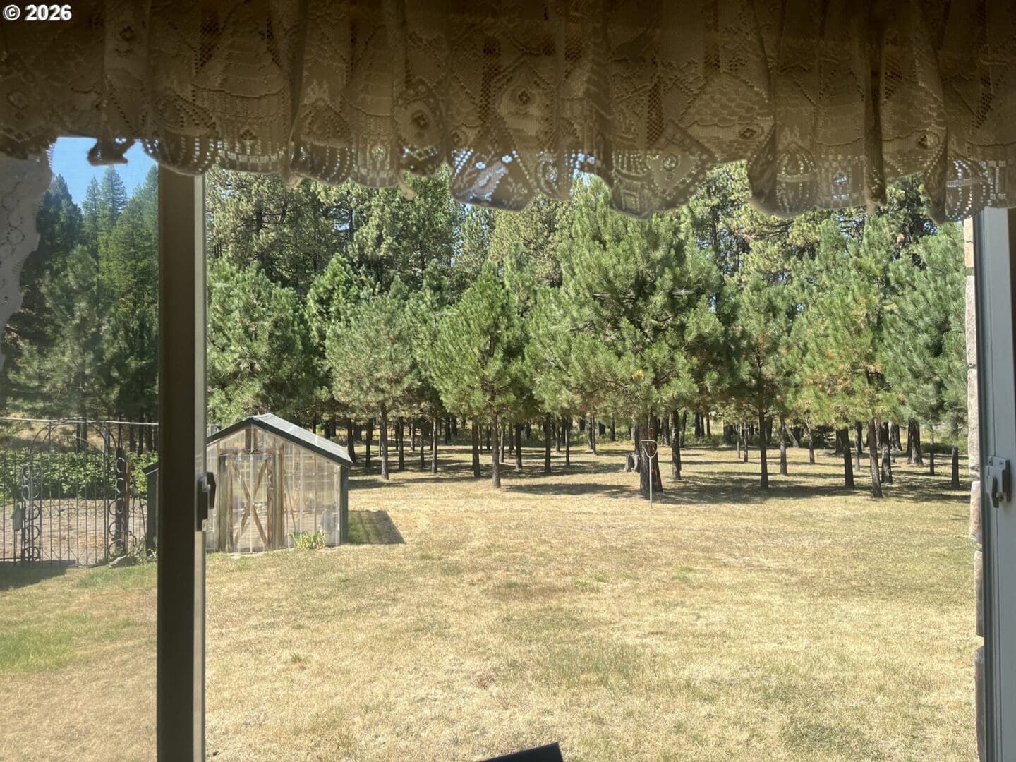 View of a grassy area with trees.