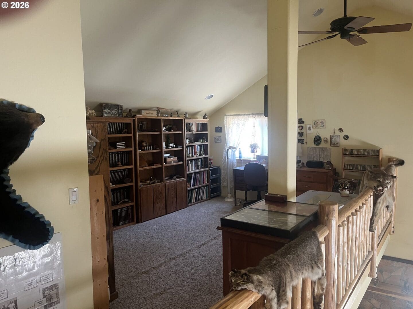 Cozy room with shelves and animal decor.