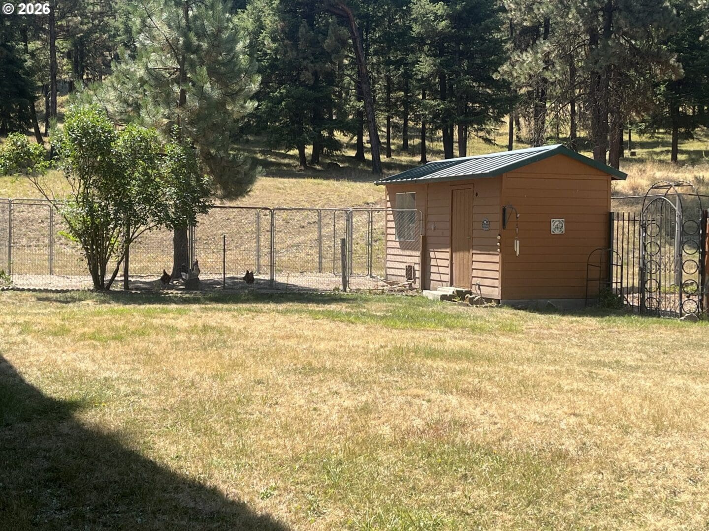 Wooden shed surrounded by grassy yard.